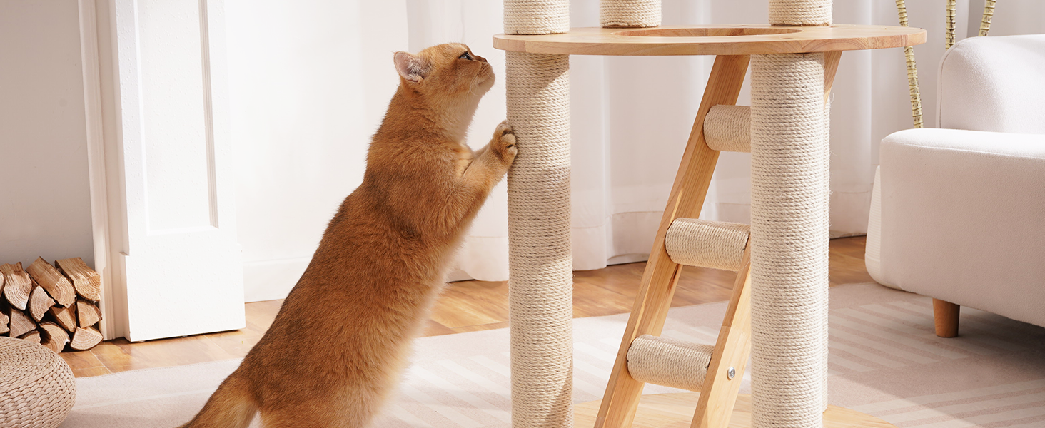 Modern Cat Tree Tower with Scratching posts