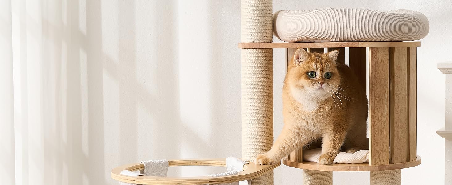 cat tree
