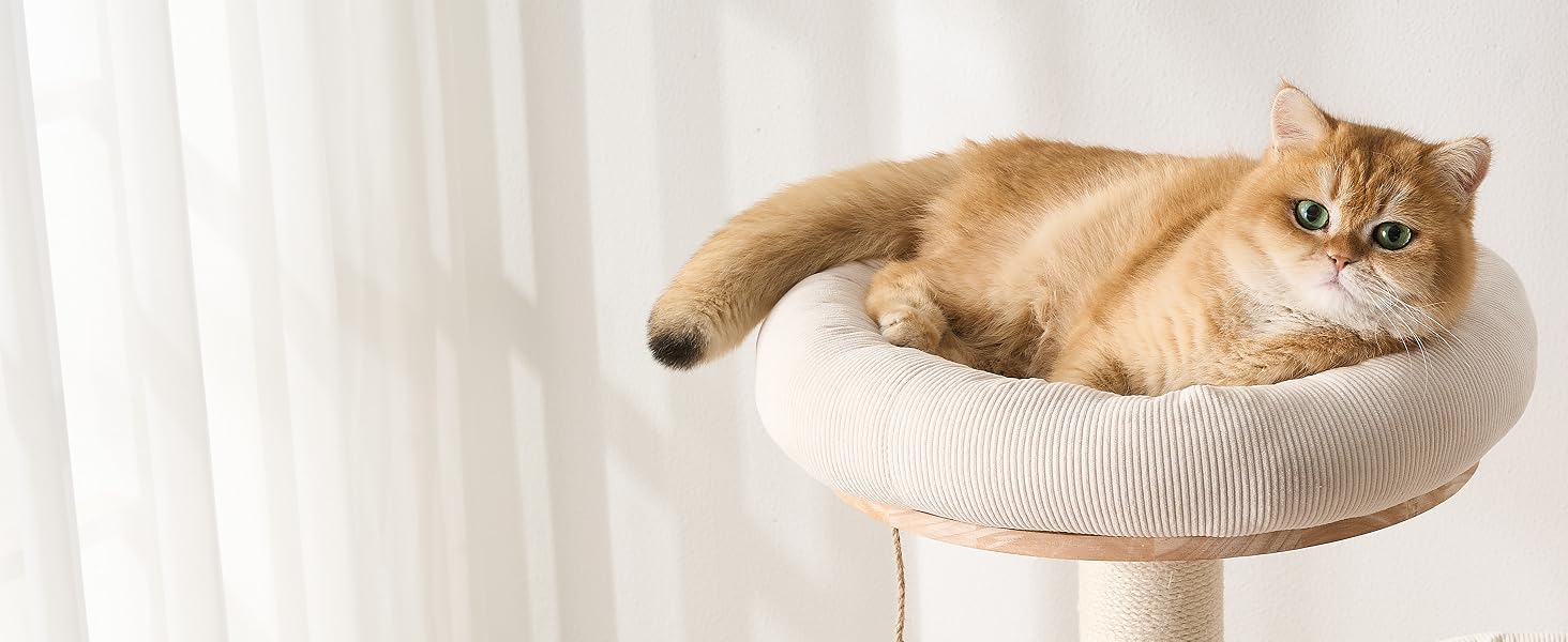 cat tree