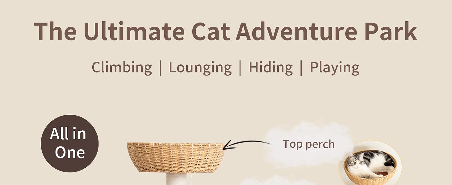 Modern Cat Tree for Large Cats + Clear Bowl + Multiple Resting Areas + Furniture-Friendly Fabric