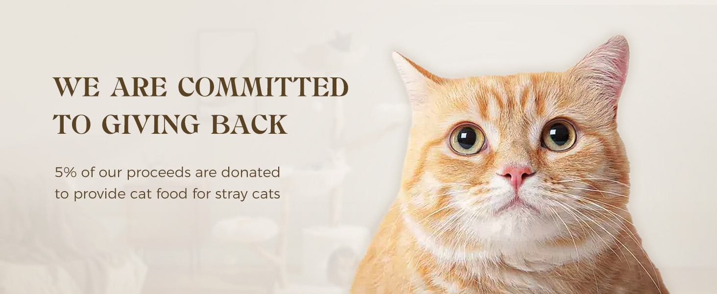 rattan cat tree is specially made for hairless cats, Maine Coons and multi-cat households