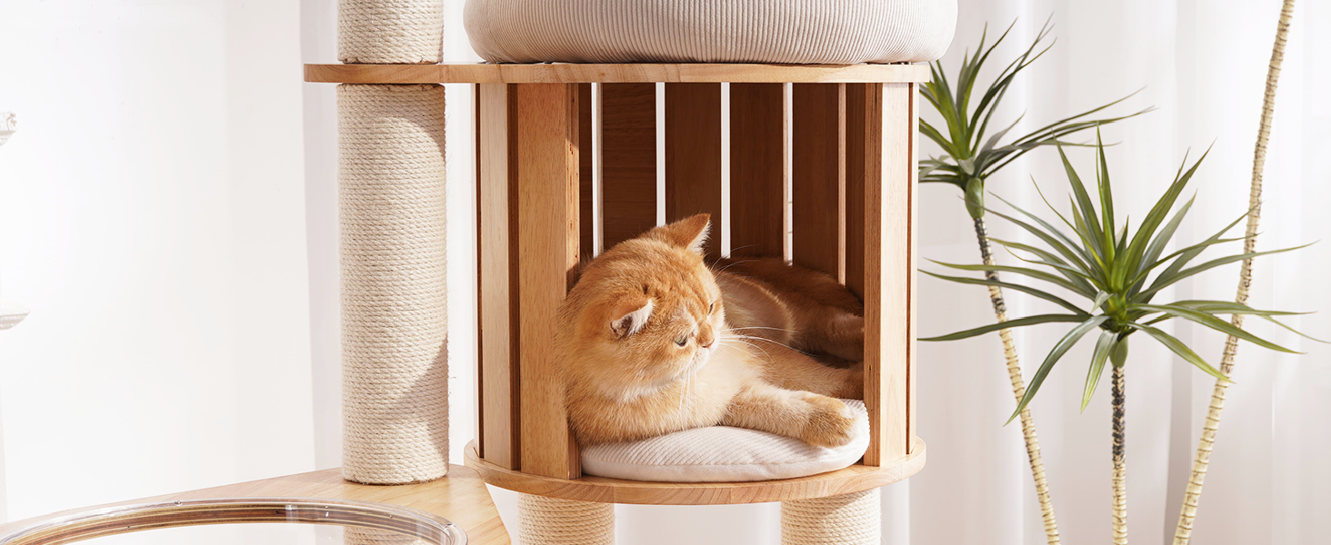 Modern Cat Tree Tower with Scratching posts