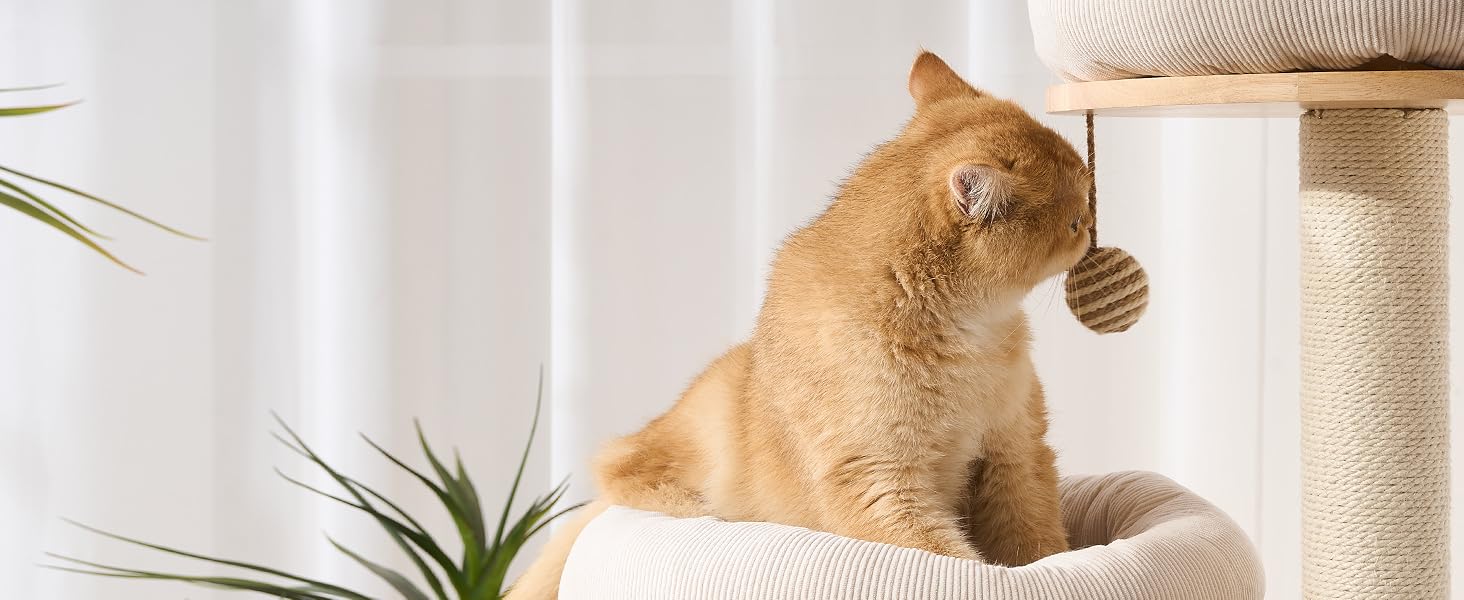 cat tree