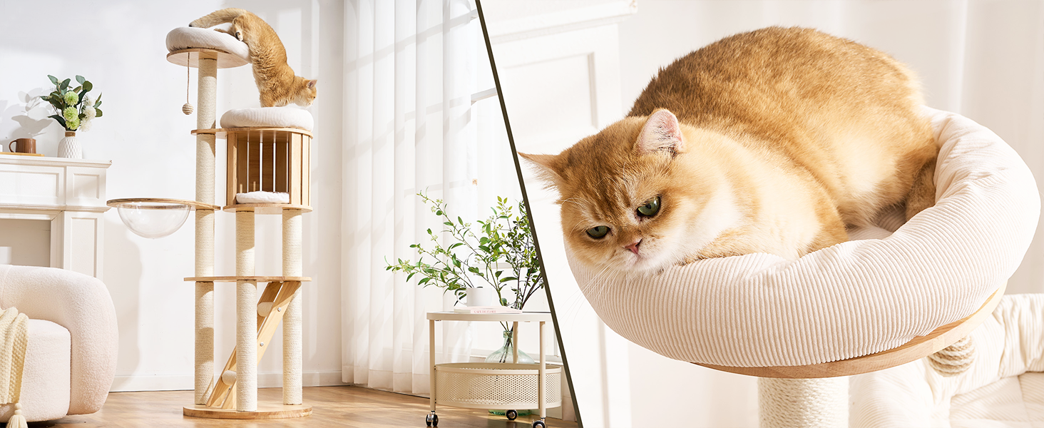 modern cat tree tower with scratching post