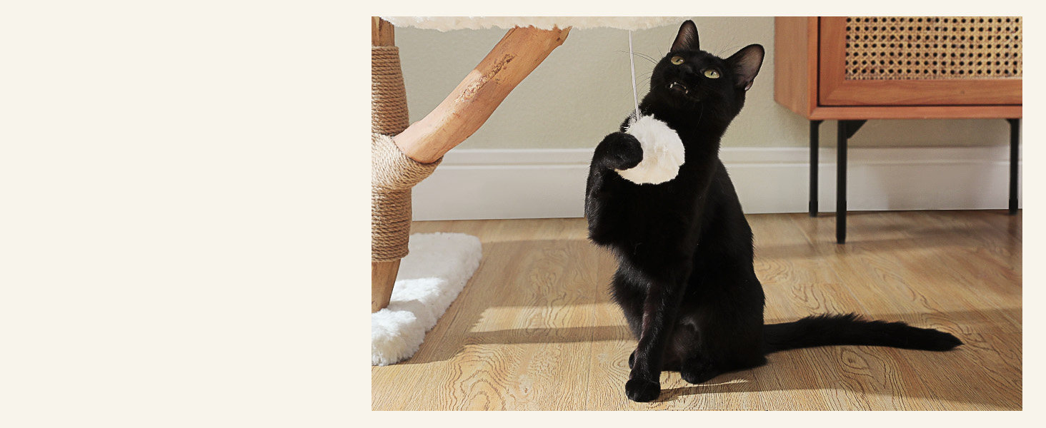luxury cat condo comes with 2 flower perches, a handwoven wicker bed, a hammock and a bottom den