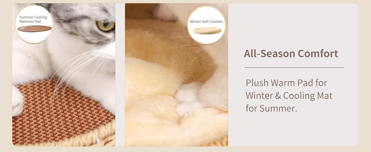 Modern Cat Tree for Large Cats + Clear Bowl + Multiple Resting Areas + Furniture-Friendly Fabric
