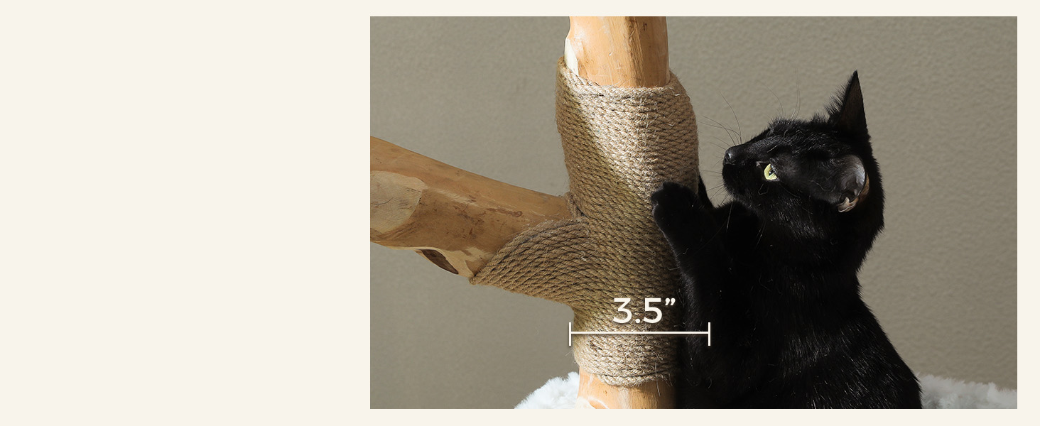 natural solid wood scratching post with a real branch design