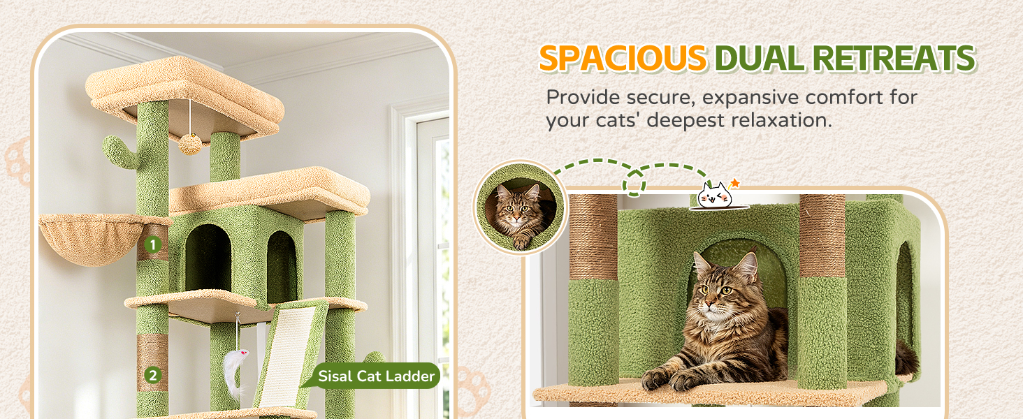 green cat condo