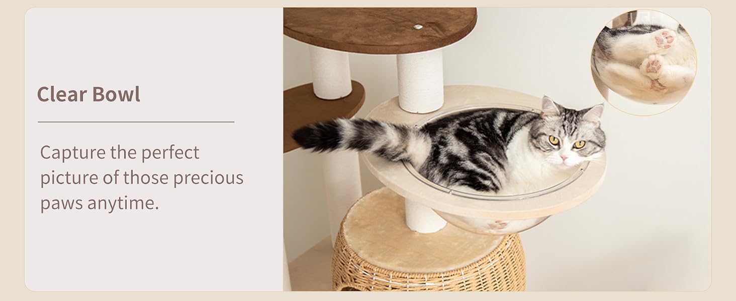 Modern Cat Tree for Large Cats + Clear Bowl + Multiple Resting Areas + Furniture-Friendly Fabric