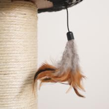 close up of feather teasing cat toy, and natural sisal scratching post