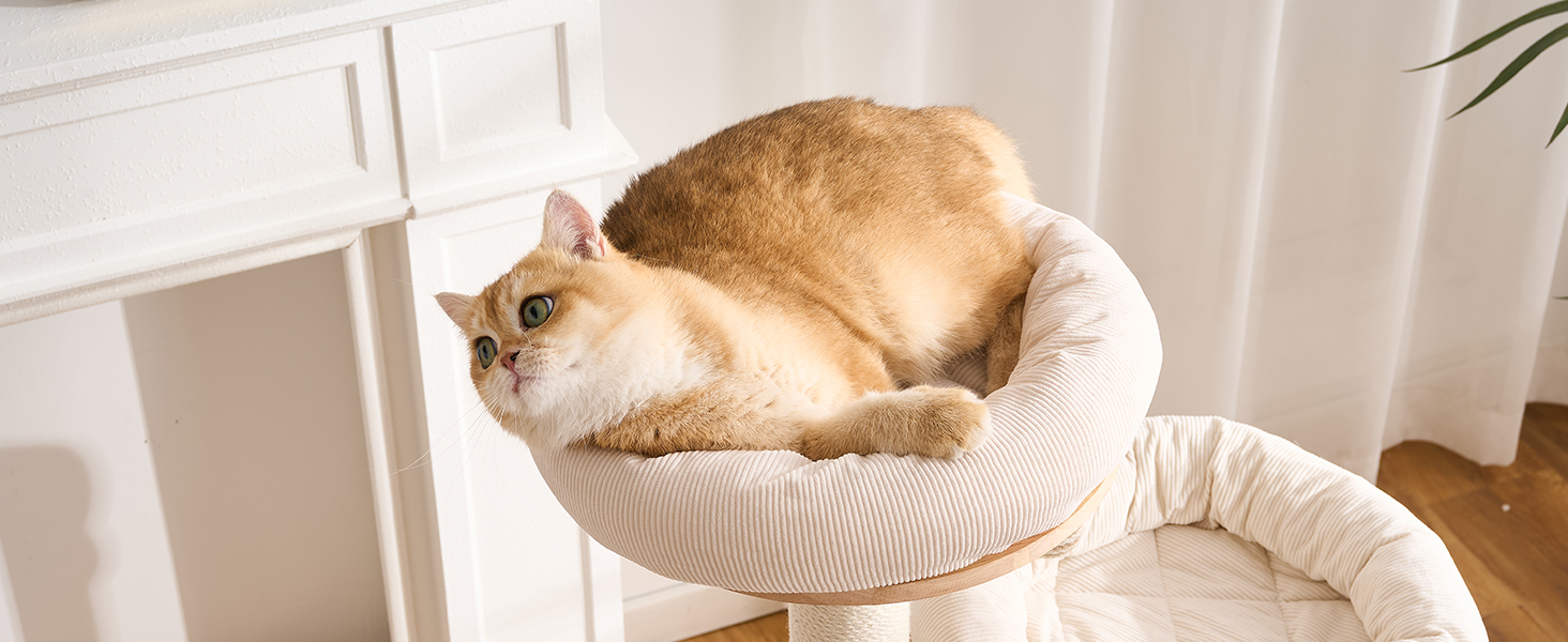 modern cat tree tower with beds for cats up to 12lbs