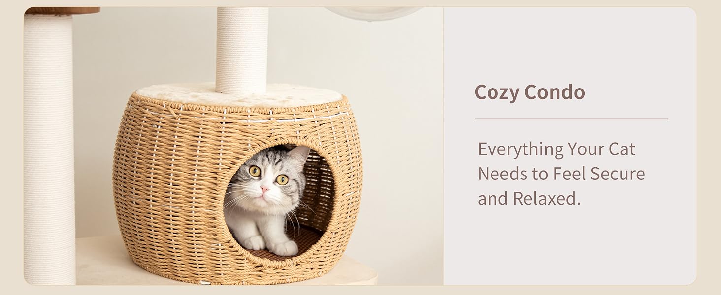 Modern Cat Tree for Large Cats + Clear Bowl + Multiple Resting Areas + Furniture-Friendly Fabric