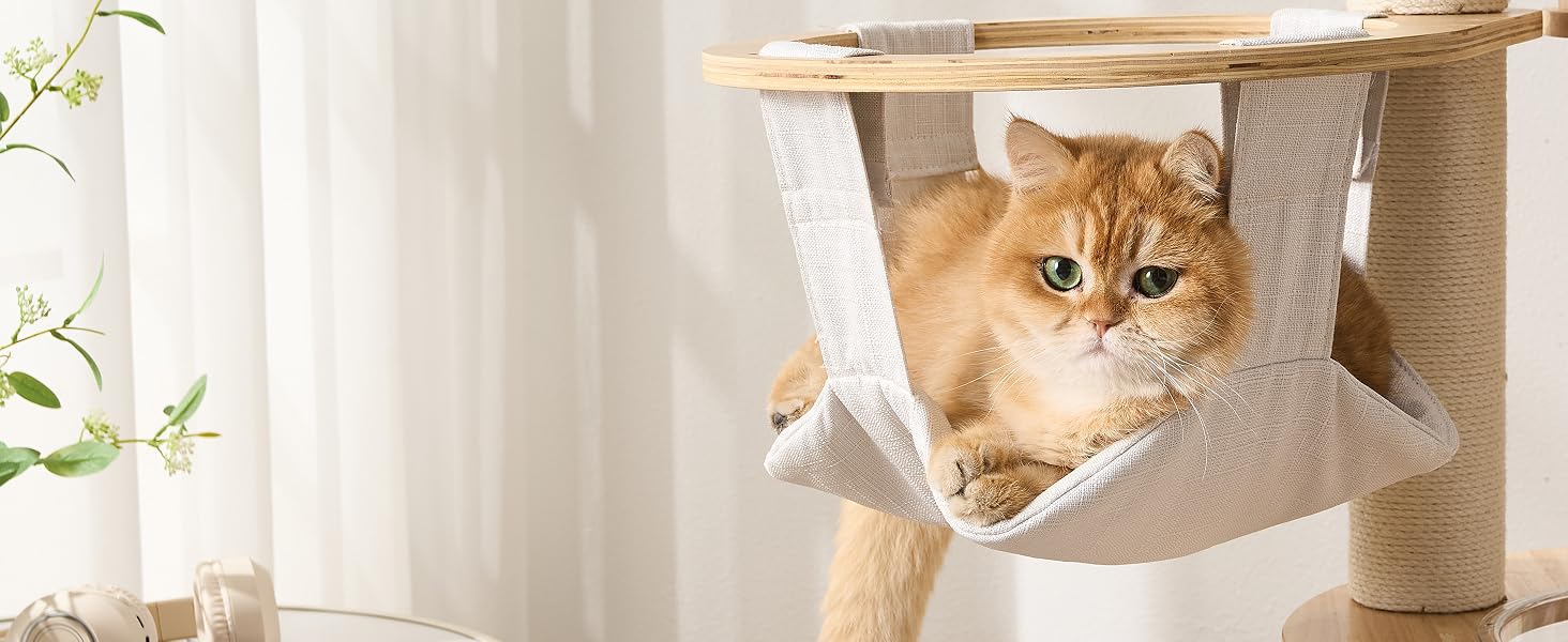 cat tree