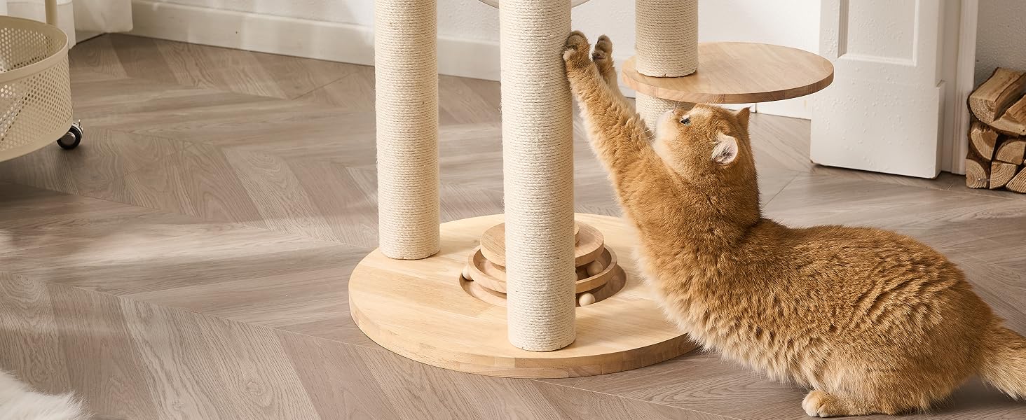 cat tree