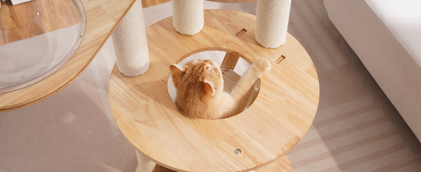 modern cat tree tower with ladder for short cat